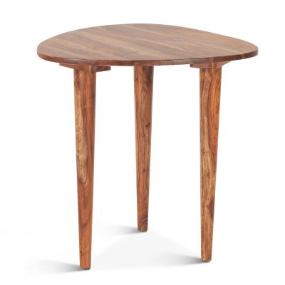 Salem 23" Sheesham Wood Side Table Natural