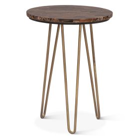 Calico 17" Side Table in Tiger Eye with Iron Base